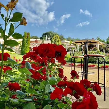 Duni Belleville Θέρετρο